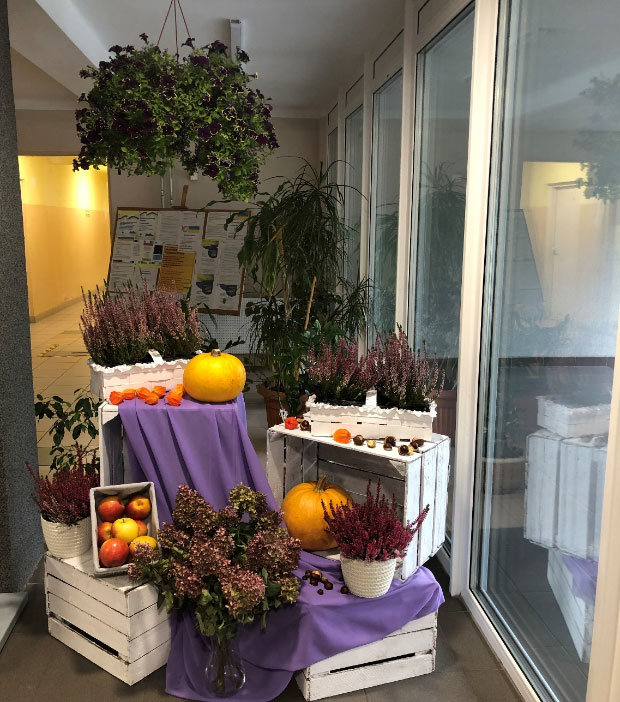 Jesień w internacie