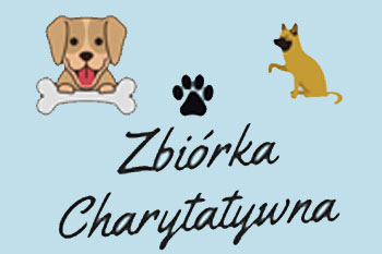 Zbiórka organizowana przez Szkolne Koło Wolontariatu